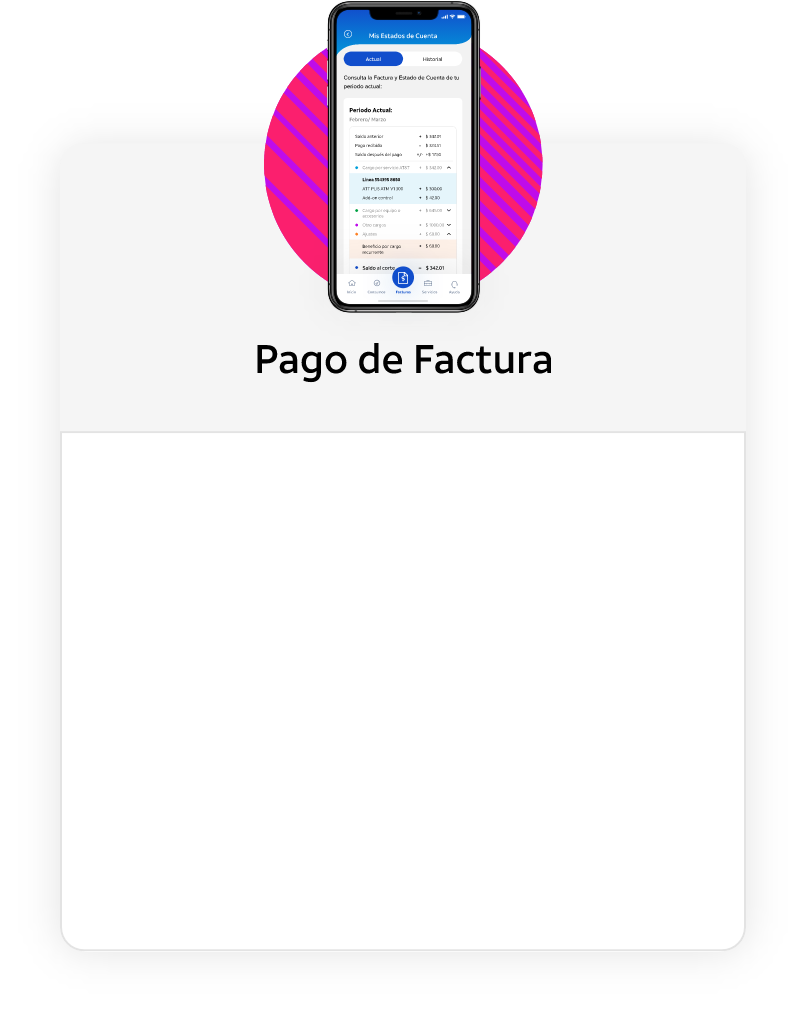 pago de factura